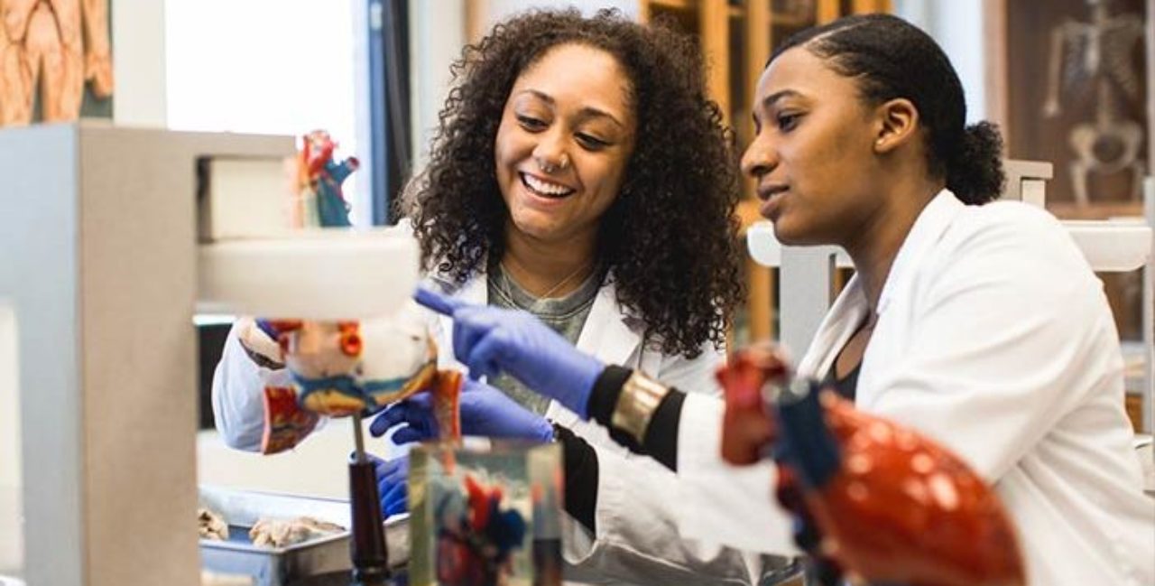 students working in a lab