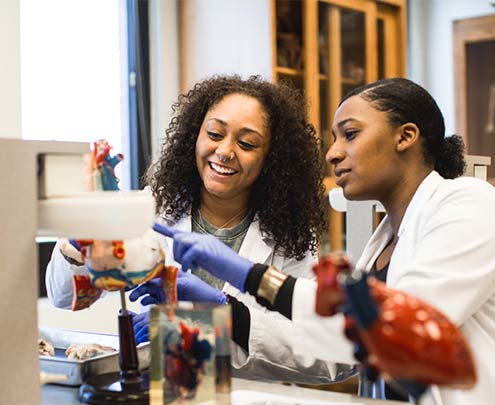 students working in a lab