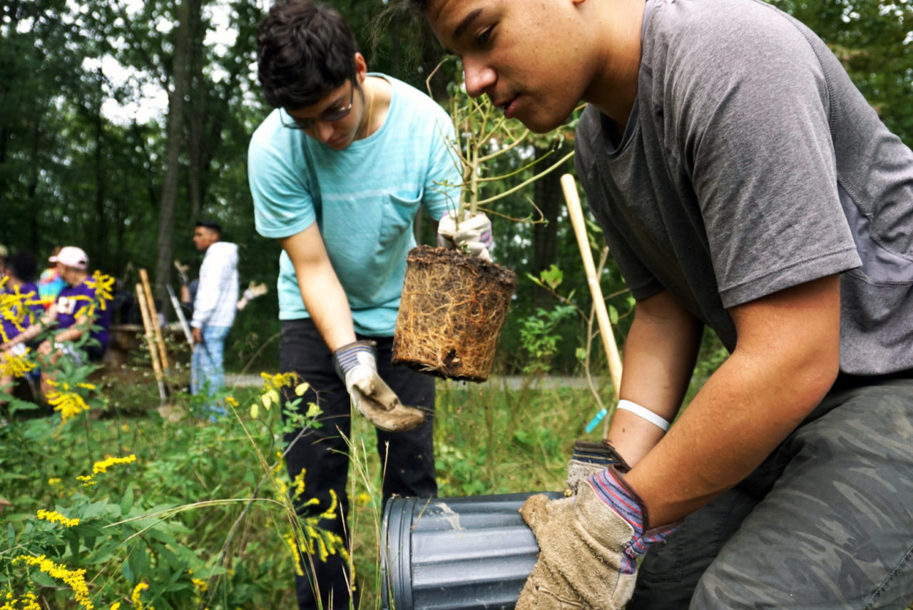 two students planting in a garden