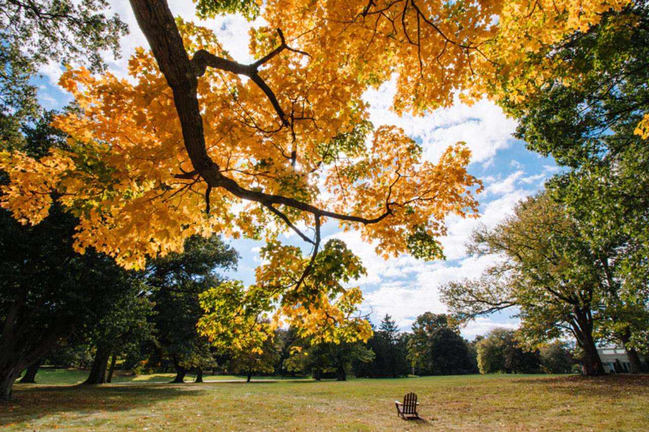 The Florham Campus received Tree Campus USA recognition. (Photo by Joshua Siniscal)