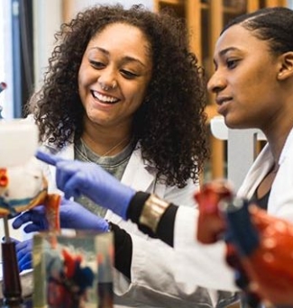 students working in a lab