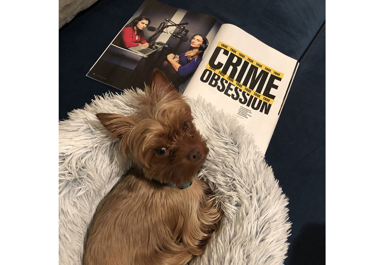 A dog sitting on a fuzzy dog bed with a copy of the FDU Magazine