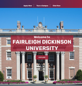 FDU Virtual Experience