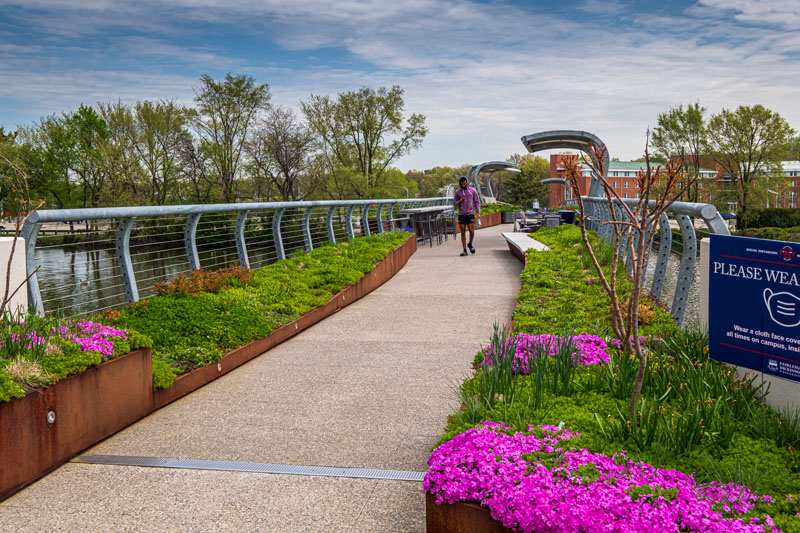 A person in the distance walks on the spirit bridge.