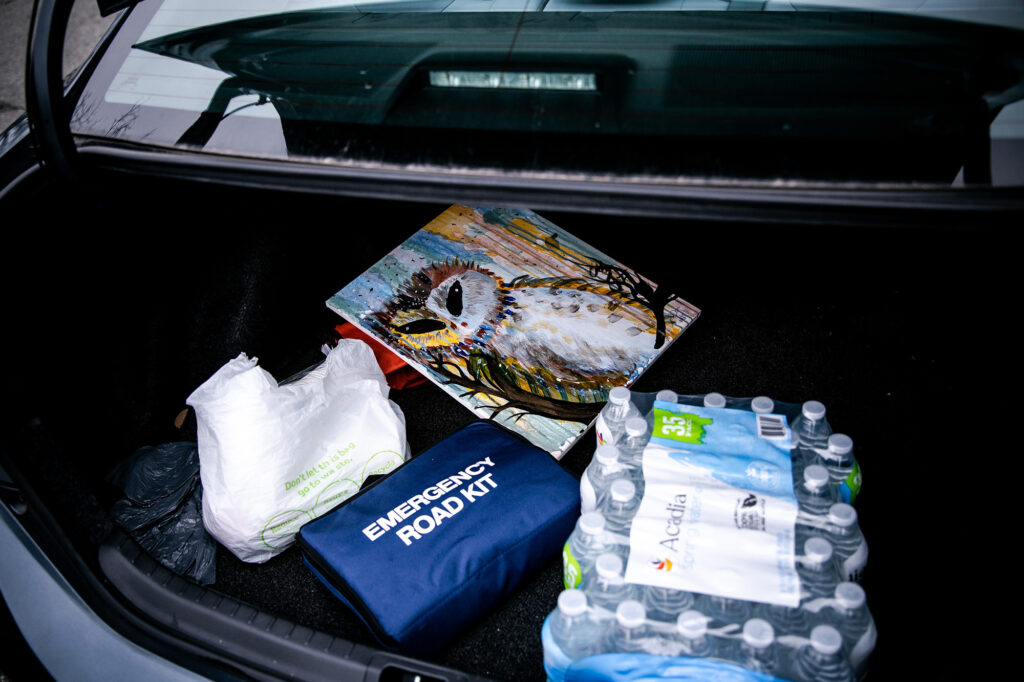 An owl painting, an emergency car kit and a case of water in the trunk of a car.