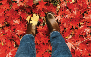 View of a woman's ripped jeans and boots, standing in a bed of bright red fall leaves.
