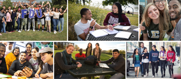 collage of undergraduate student scenes