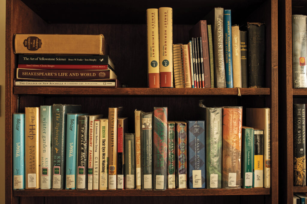 A bookcase full of colorful book covers.