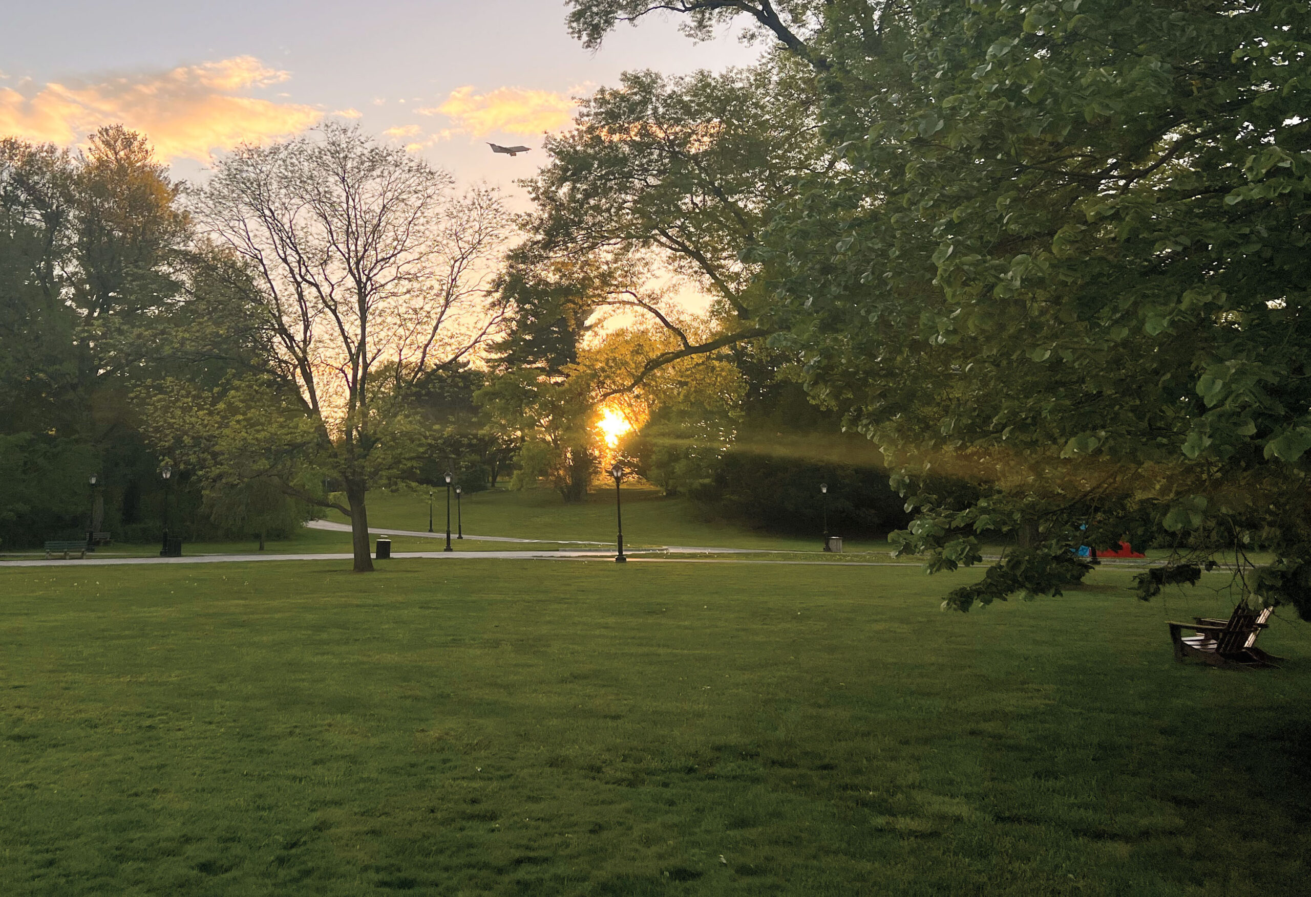 A landscape photo that shows a setting sun and spring grass and trees.