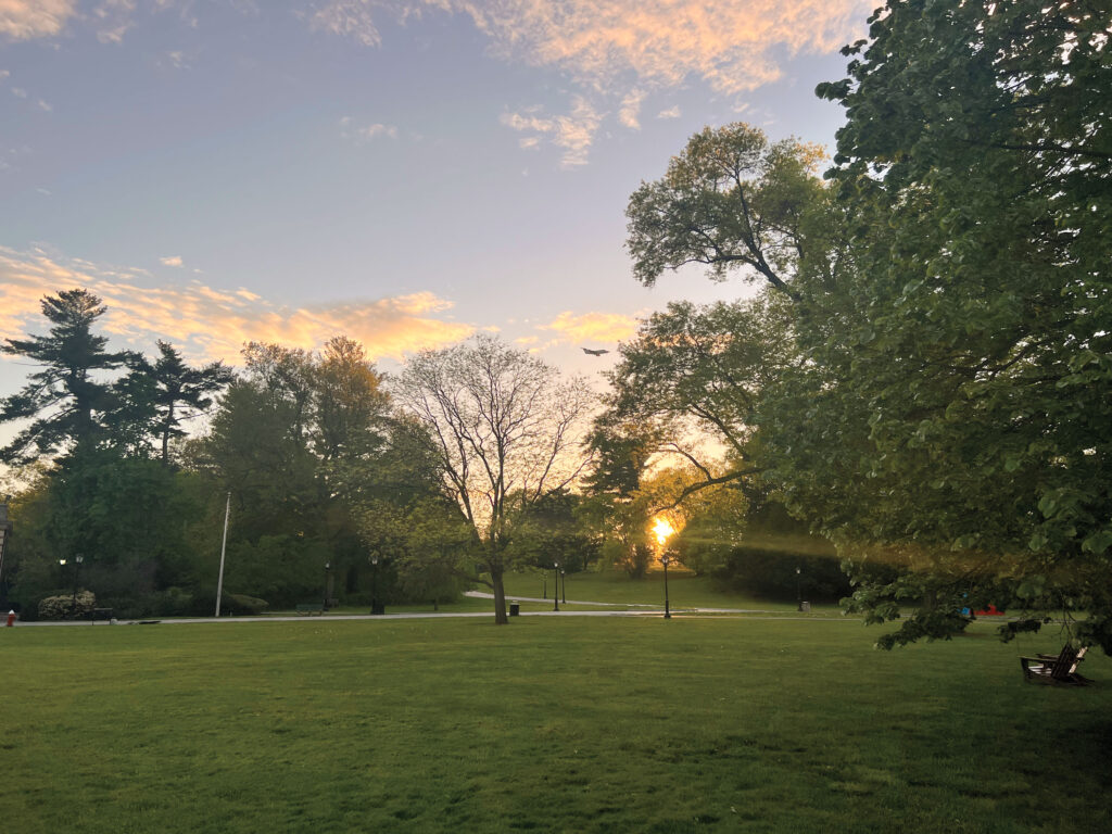 A landscape photo that shows a setting sun and spring grass and trees.