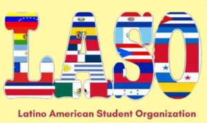 LASO logo