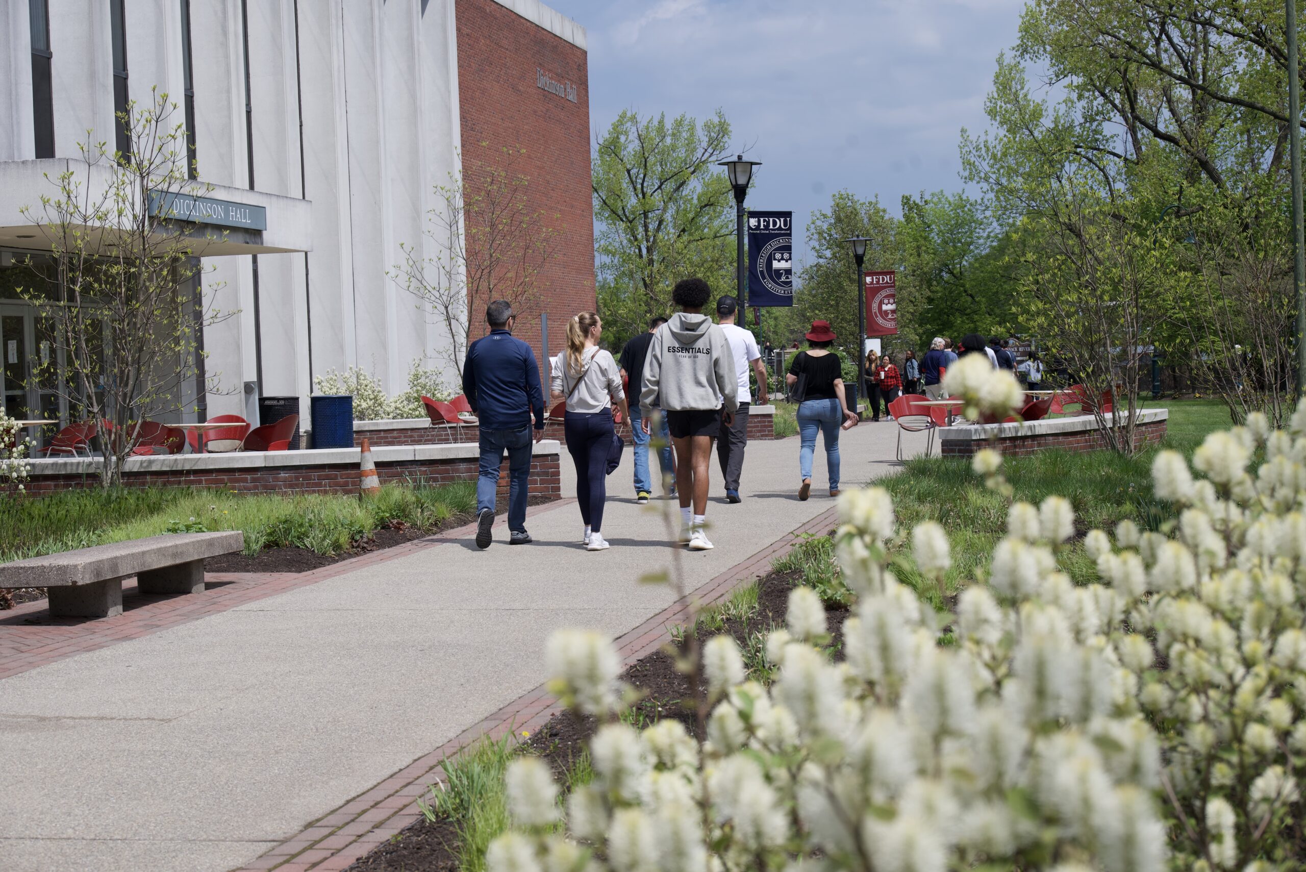 A scenic photograph taken from behind a bush, depicts students walking down campus path.