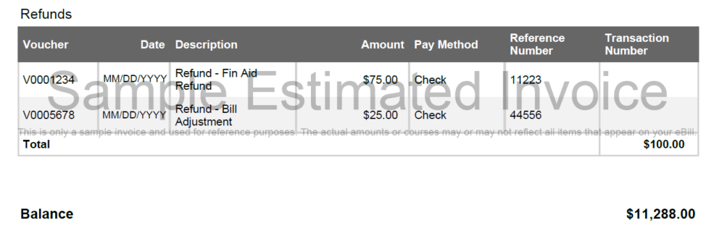 Refunds section detailing two entries: Voucher V0001234 for a 'Refund - Fin Aid' of $75.00 via check, and Voucher V0005678 for a 'Refund - Bill Adjustment' of $25.00 via check. The total refunds amount to $100.00.