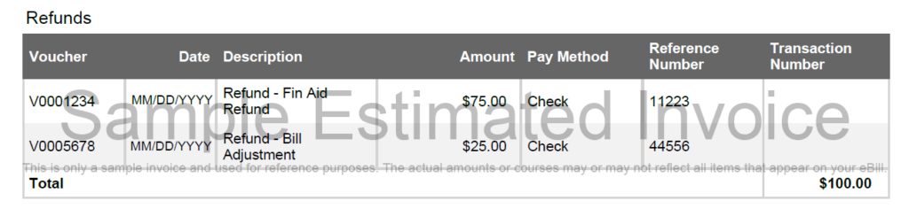 Refunds section detailing two entries: Voucher V0001234 for a 'Refund - Fin Aid' of $75.00 via check, and Voucher V0005678 for a 'Refund - Bill Adjustment' of $25.00 via check. The total refunds amount to $100.00.