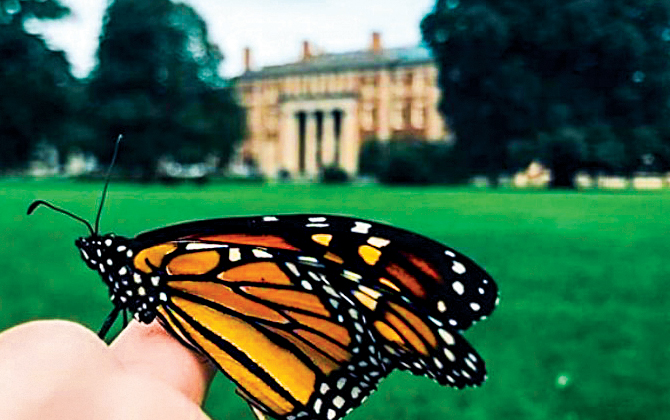 A butterfly lands on a person's hand. Hennessy Hall can be seen in the background of the image.