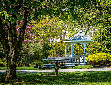 A gazebo sits among the trees on grass on campus.