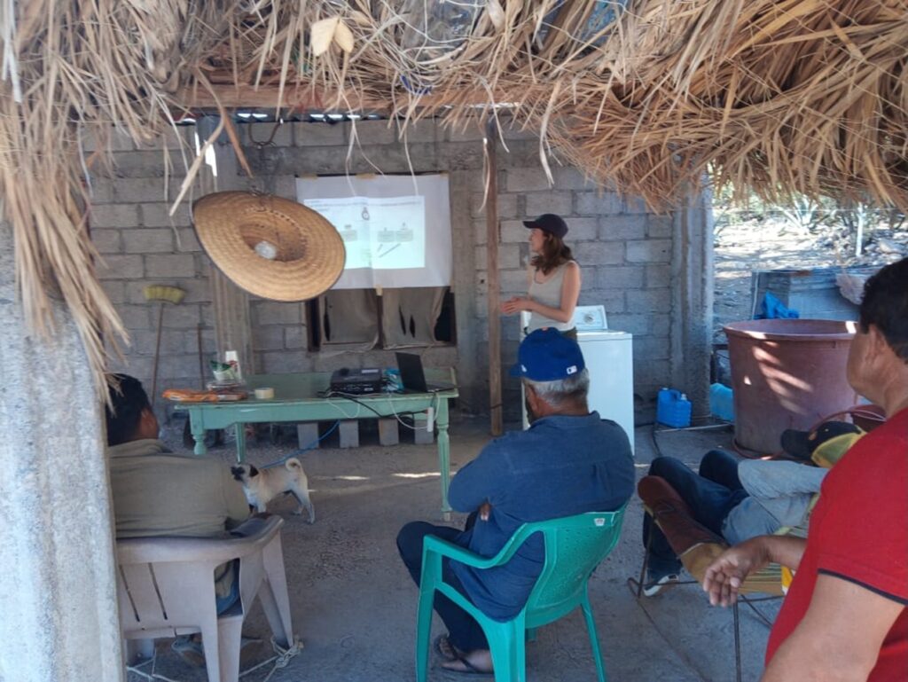 A woman in a white tank top and black cap gives a presentation to a small group seated on plastic chairs in a rustic outdoor shelter with palm thatch roofing.