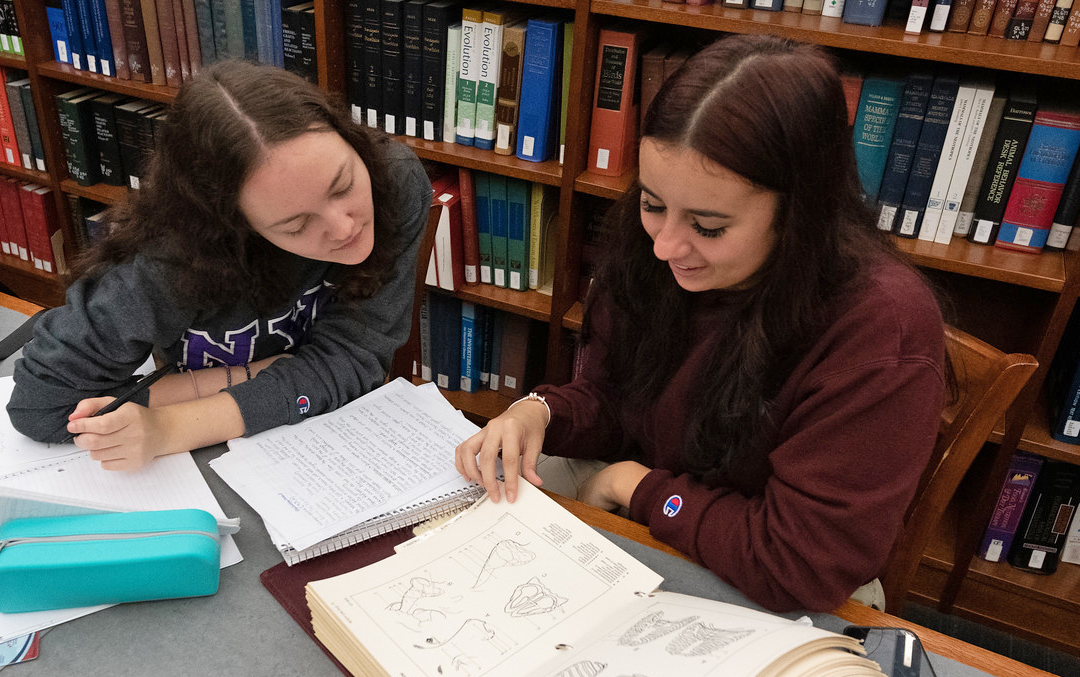 Two female students study in the library.
