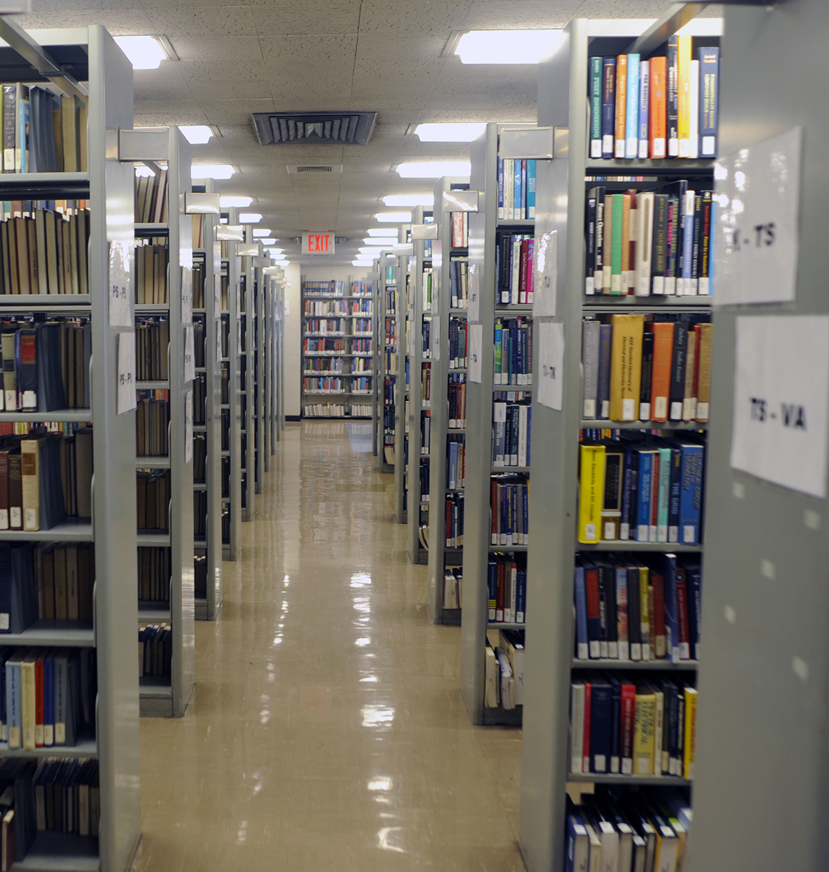 Shelves of books in the library.