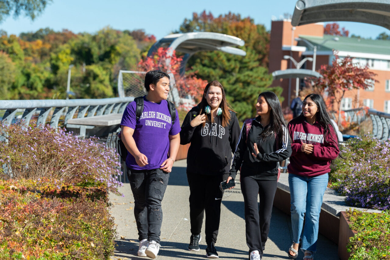 Four college students walking and talking on a campus pathway surrounded by flowers and autumn trees, with two wearing Fairleigh Dickinson University sweatshirts.