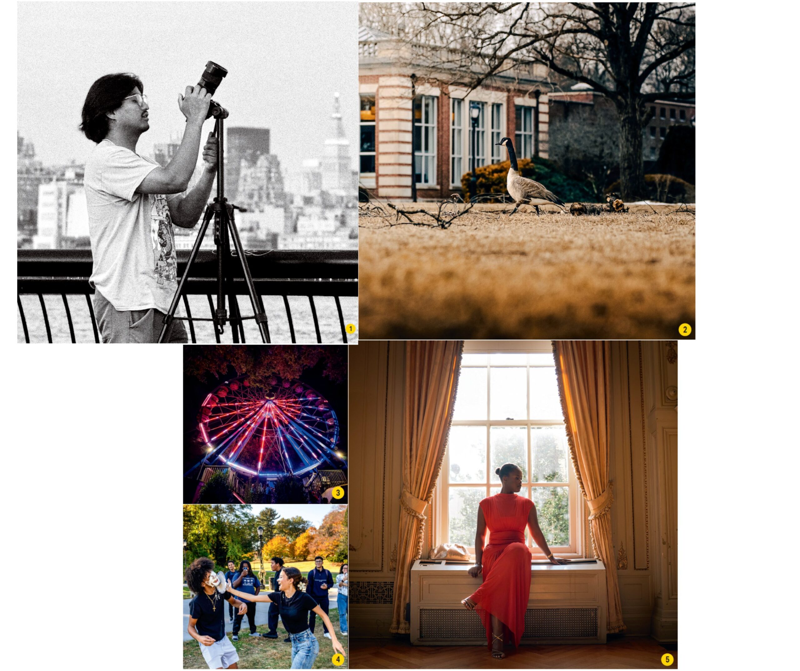 A collage of photos showing: a man with a long lens camera; geese waddling on the grass; a woman sitting by a window; a Ferris Wheel and students participating in pie-a-face.