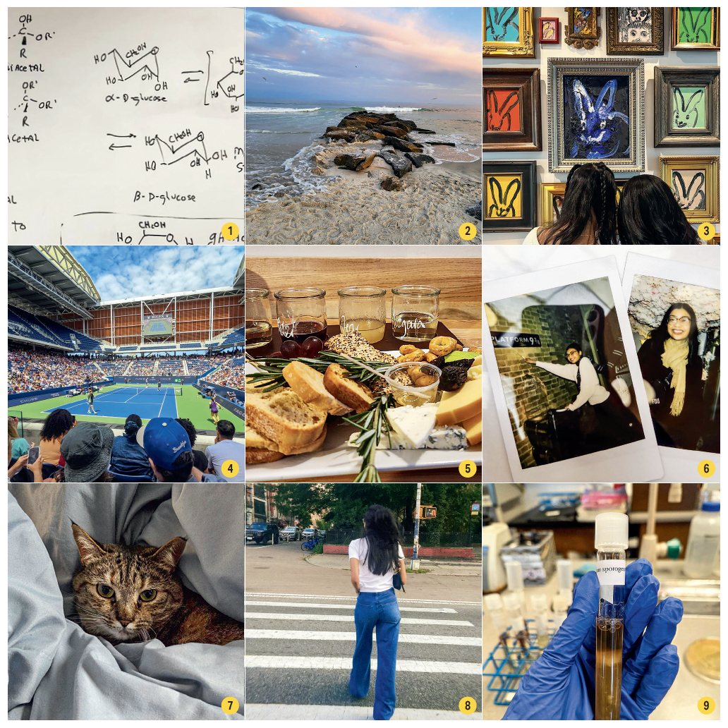 A collage of photos showing: a whiteboard; an ocean image; a wall of art at a museum; a professional tennis court; a plate of food; two Polaroid snapshots; a portrait of a cat; a young woman walking away and a gloved hand holding a test tube.