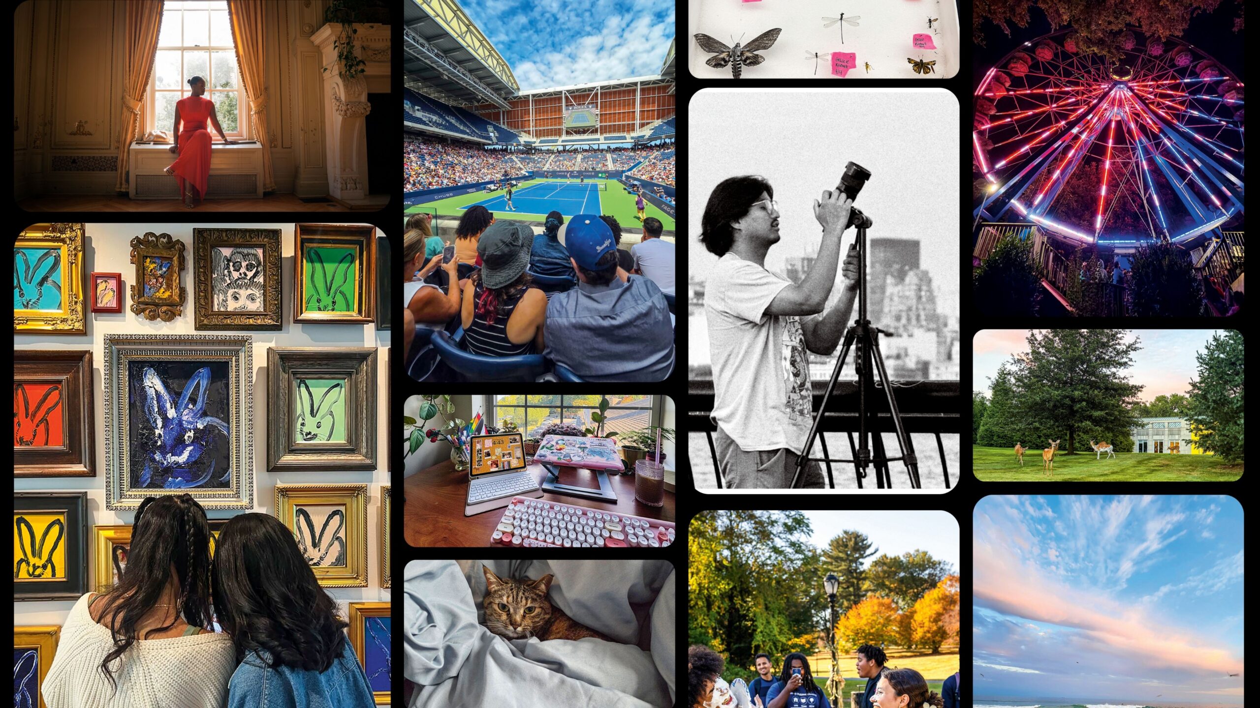 A collage of photos from students' camera rolls.