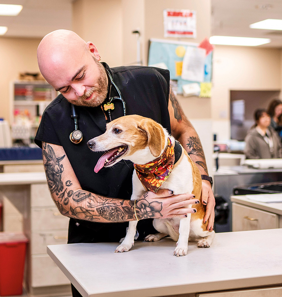 A man with a stethoscope examines a dog at a veterinary clinic.