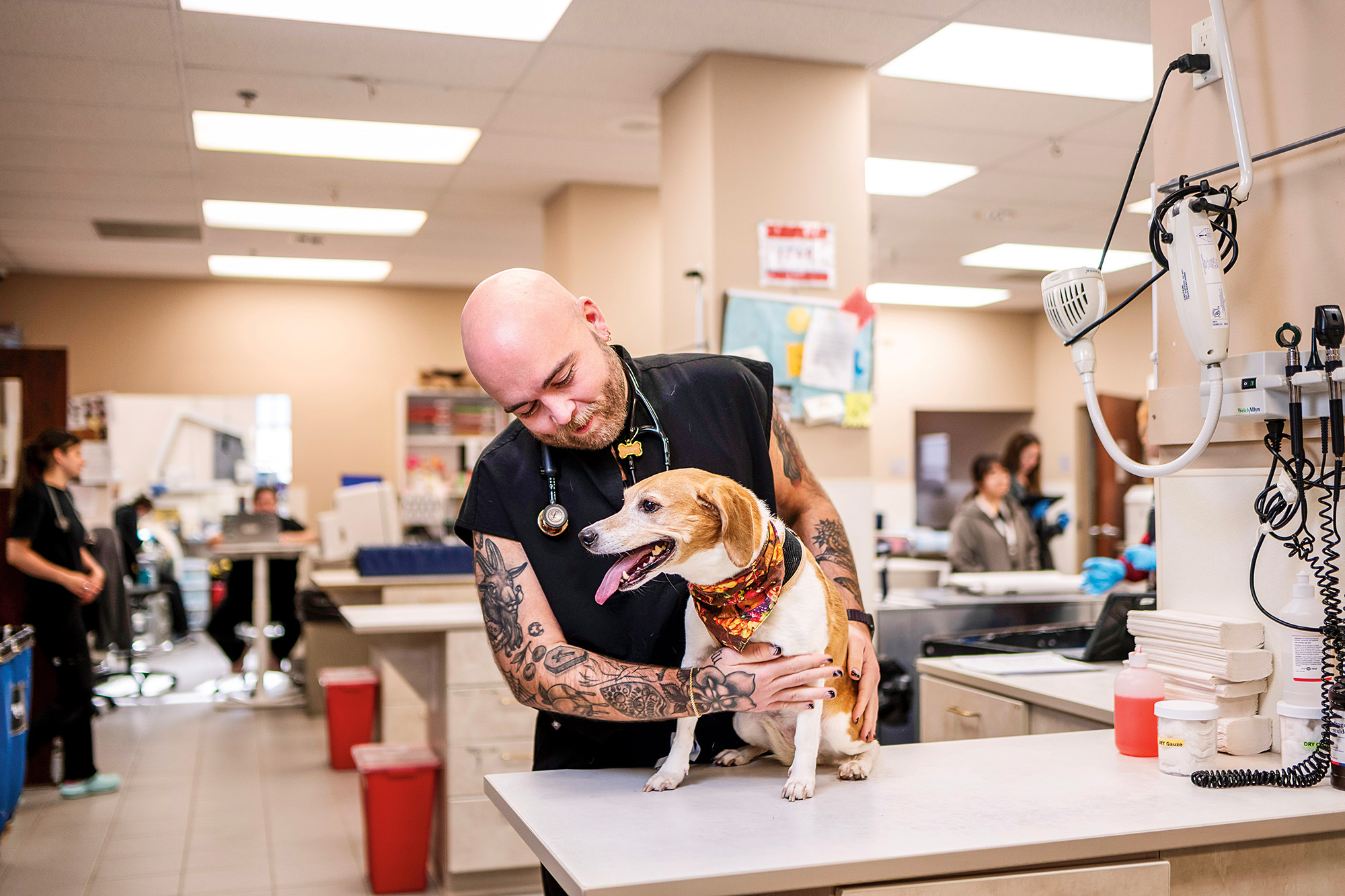 A man with a stethoscope examines a dog at a veterinary clinic.