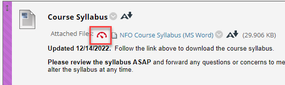 Screenshot of a course page showing a "Course Syllabus" content item with an attached Microsoft Word file labeled "NFO Course Syllabus (MS Word)." A red box highlights a small accessibility indicator icon next to the attached file name.