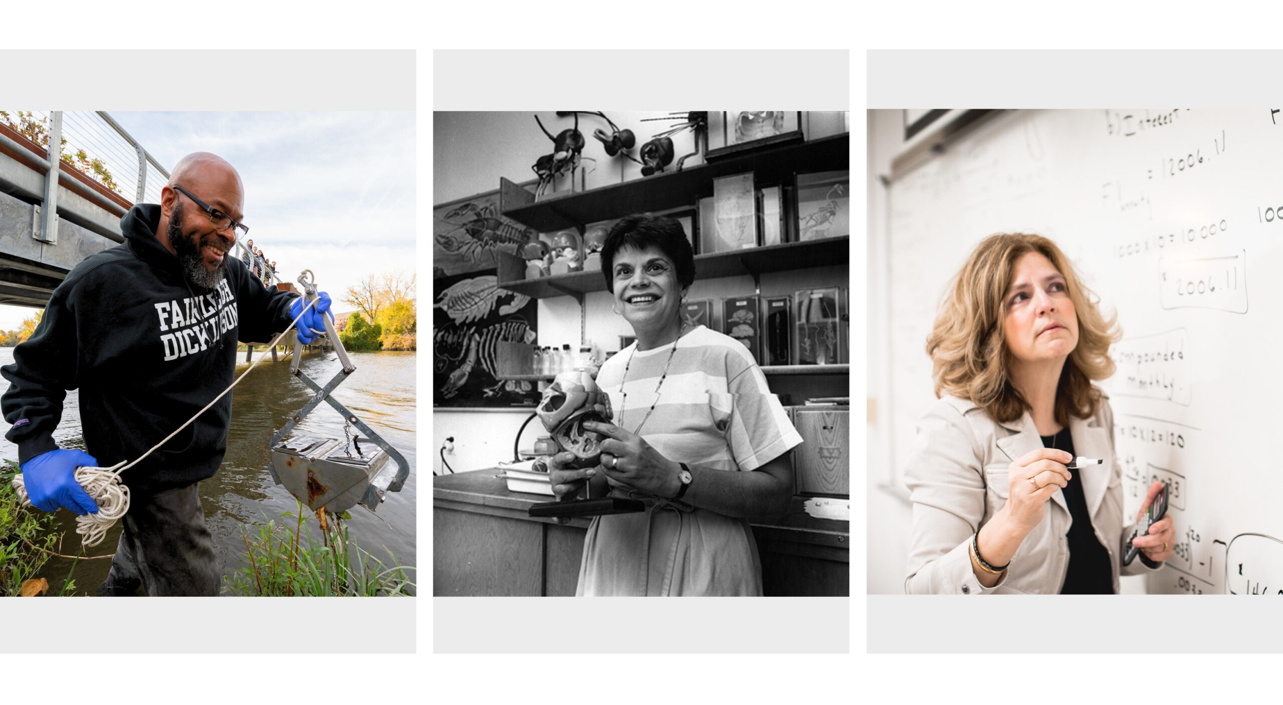 A collage of three images shows three faculty members: a man conducting research in a river; a woman standing in a classroom; and a woman writing on a whiteboard.
