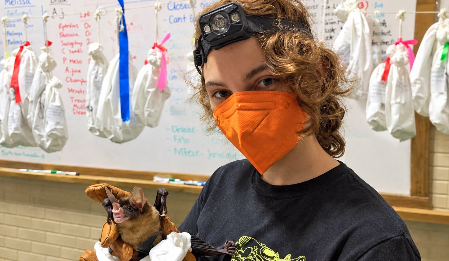 Researcher Melissa R. de Waal holds a bat.