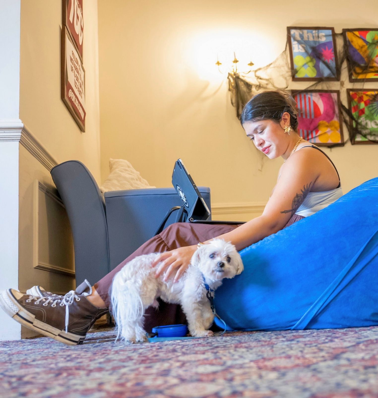 a college student sits in a bean bag chair with a laptop on her lap. next to her is a white dog, and she pets the dog.